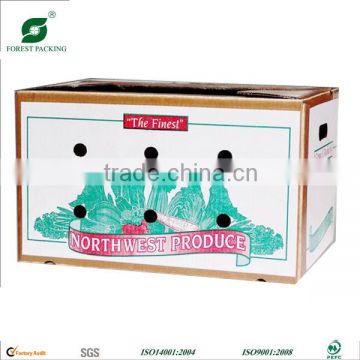 DURABLE CORRUGATED VEGETABLE PACKING CARTON