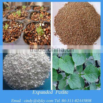 agricultural vermiculite perlite as seed growing