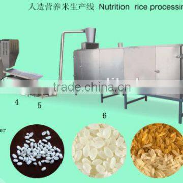 Organic Instant Porridge Machine/Nutritional Rice Processing Line