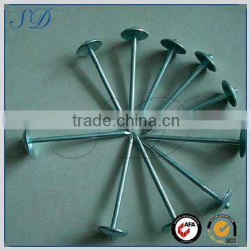 Attractive price high quality spring spike nail