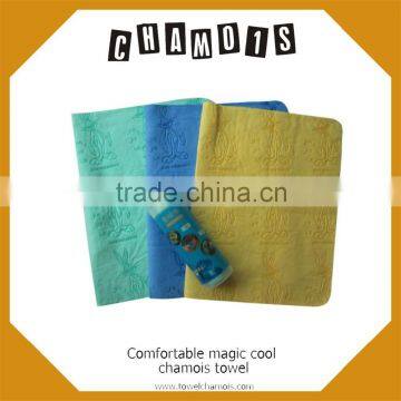 cute pet supply pva pet bathing towel