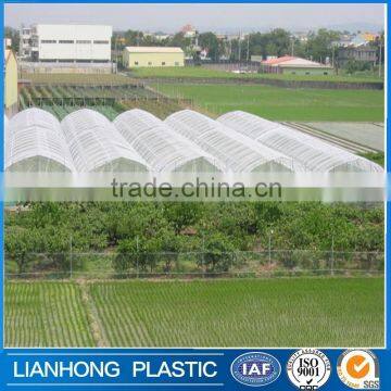 Virgin HDPE apple tree anti hail net , cheap uv treated anti bird net for orchard and garden                        
                                                                                Supplier's Choice