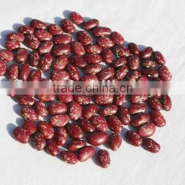 purple speckled kidney beans