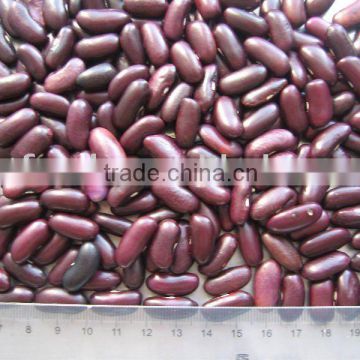 Purple speckled kidney beans