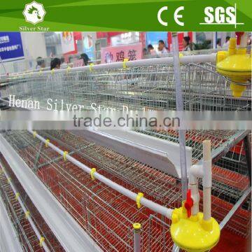 wire mesh bird cage for laying hens