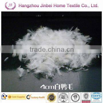 washed 2-4cm white duck feather