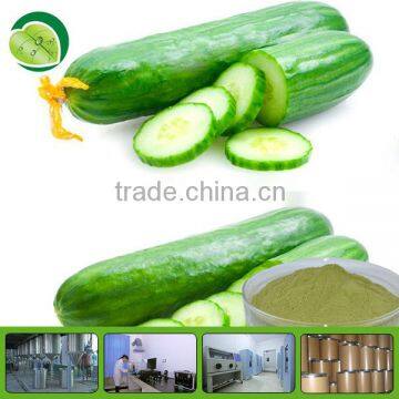 Cucumber Extract Powder