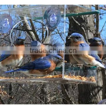 wholesale acrylic window hummingbird feeders