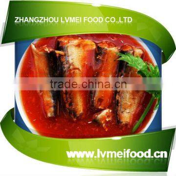 Canned Mackerel Fish in Tomato Sauce