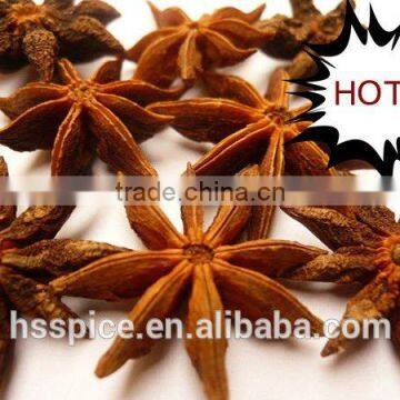 Good Aroma Well Dried Star Aniseeds