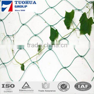 best quality low price 100% virgin PP extruded trellis plant support net china supplier