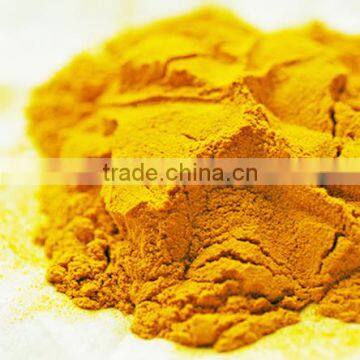 Premium Turmeric Powder Bulk Supplier photo-3
