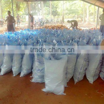 Fresh Coconuts From Kerala photo-2