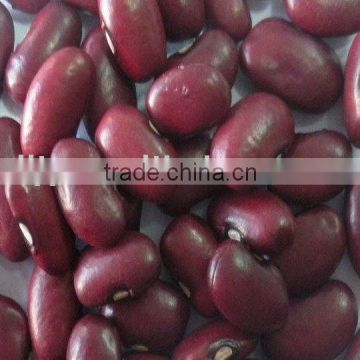 Chinese Small Red Kidney Beans Crop 2014 Factory 100%