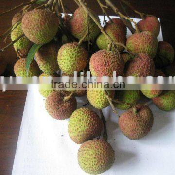 Sell fresh lychee