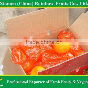 Sweet YongChun Mandarin orange(Chinese kino) from China