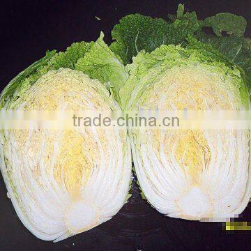 150g-250g FRESH CABBAGE