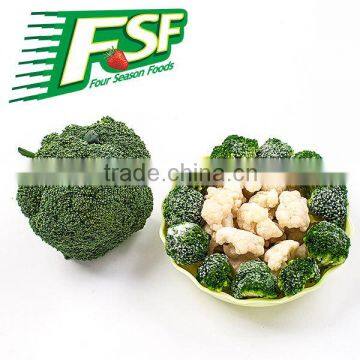 Grade A/B Frozen/IQF broccoli in 2015,chinese supplyier