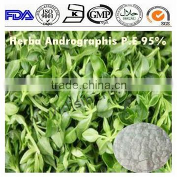 andrographis paniculata (burm. f.) nees extract