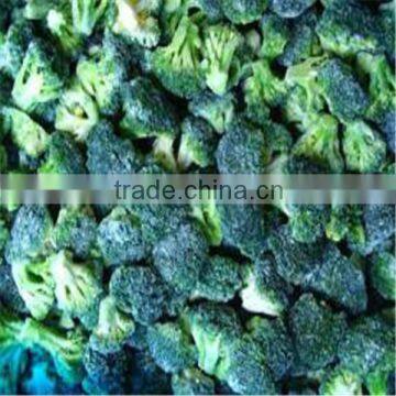 Chinese IQF Broccoli of good price