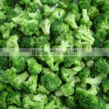 New crop frozen broccoli