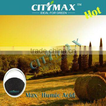 Humic Acid granular