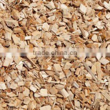 Eucalyptus Wood Chips From Vietnam photo-5