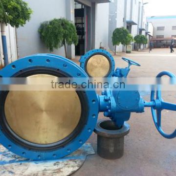 Marine Double Flanged Butterfly Valve with Worm Gear