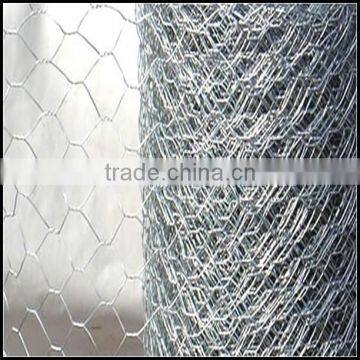 Twist Hexagonal Wire Netting photo-2
