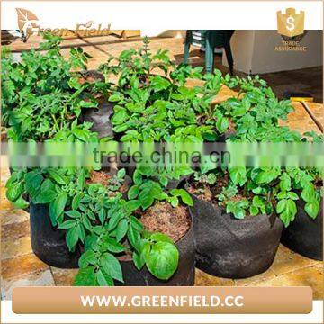 Eco Friendly Garden Felt Grow Bags Recyclable Fabric Plant Grow Bag photo-4