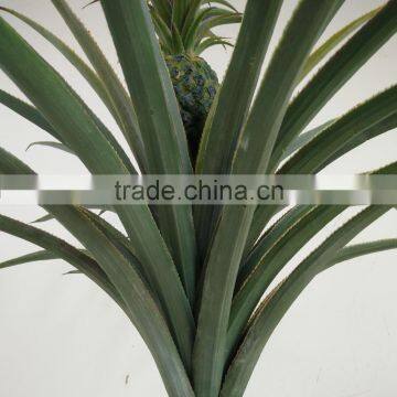 Single Pineapple Plant Artificial Decorative Plant Wholesale photo-4
