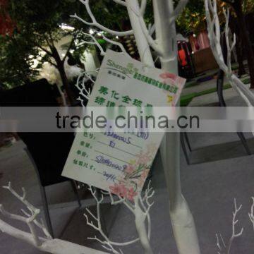 SJLJ0530 Hot Selling Artificial Tree Without Leaves / Artificial Dry Tree photo-6