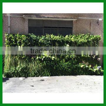 Artificial Vertical Green Wall photo-2