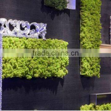 competitive price plastic/artificial plant wall for landscaping