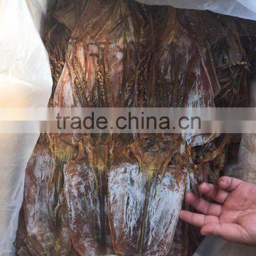 Dried Squid photo-4
