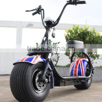 2017 Zhejiang Factory Latest Steel Quality Citycoco Electric Ebike Fat Economic Model photo-3