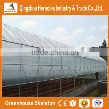 Heracles Low Cost Vegetable Seeds Greenhouse / Hoop House photo-4