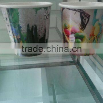 Advertising Printed Flower Paper Pot Cover