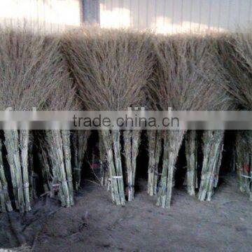 Used many places clean tool natural bamboo broom