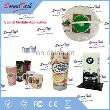 Electronic Components Water Proof Voice Chip photo-2