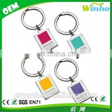 Pantone key ring