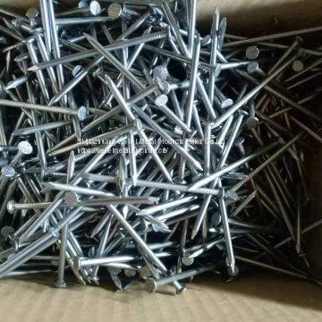 Q195 Common Iron wooden Wire Nails