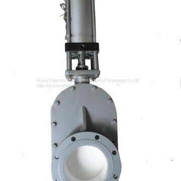 Pneumatic Ceramic Double Plate Gate Valve photo-2