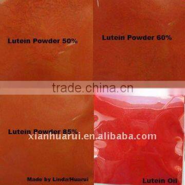 Marigold Extract (Lutein Powder 5%-90%, Lutein Oil 5%-20%)