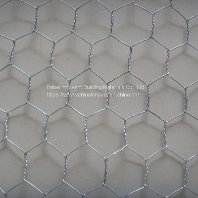 Galvanized Hexagonal Wire Netting Chicken Wire Mesh