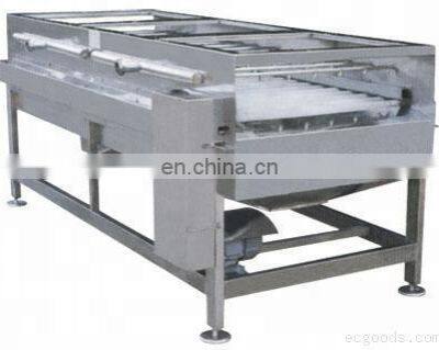 Onion Cleaning Machine photo-2