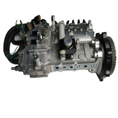 Wholesale ISUZU 6BG1 Motor Injection Pump 101602-8900  for CASE CX210 Excavator