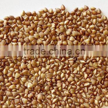 Top quality roasted hulled buckwheat for sale