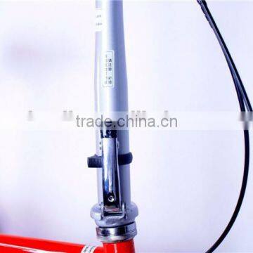 Popular Chinese Manufacturing Steel 20 Inch Folding Electric Bicycle Most Popular