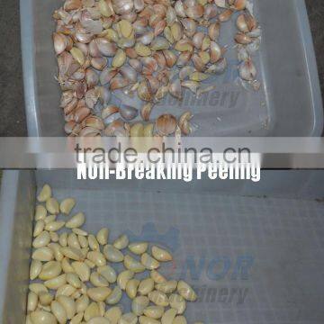New Design Hot Sale Garlic Peeling Machines From Factory photo-6